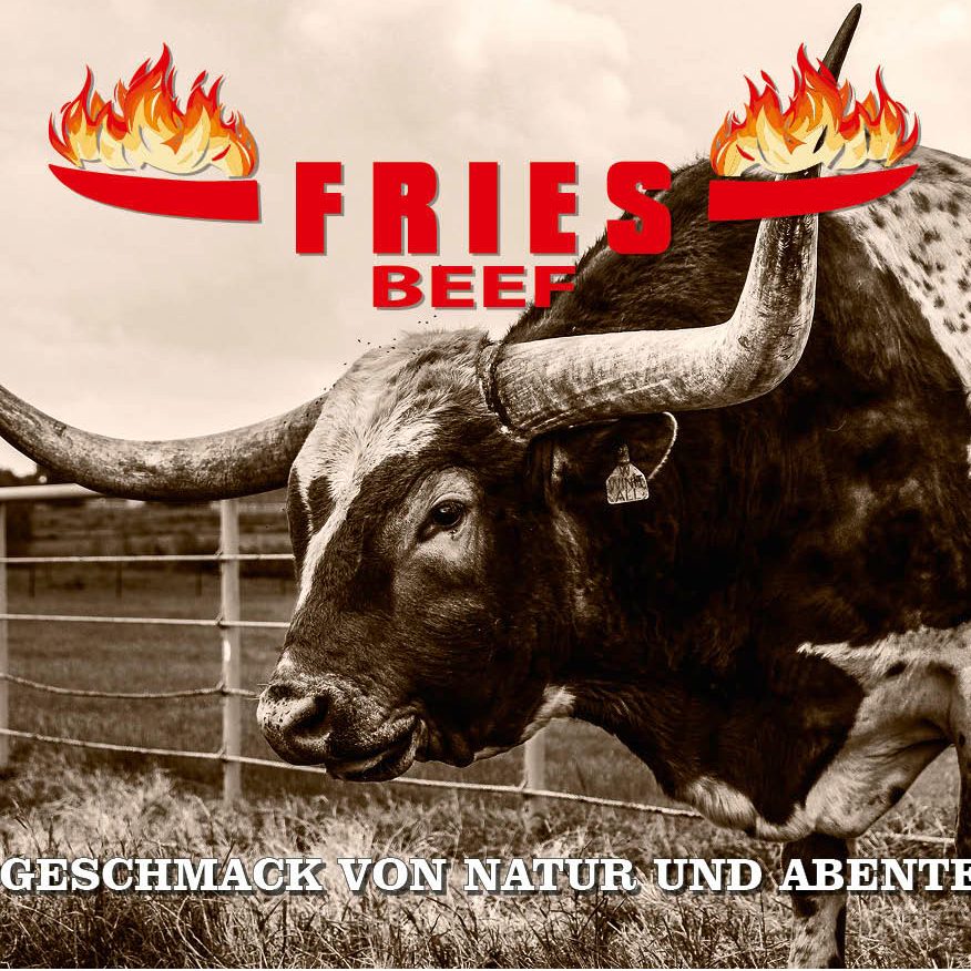 Icône de l'application Fries Beef