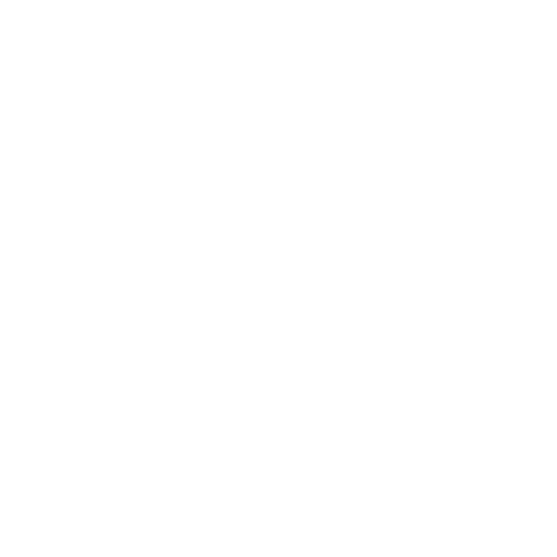Icône de l'application Partybusse