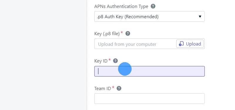 Screenshot of the fields on the OneSignal website.