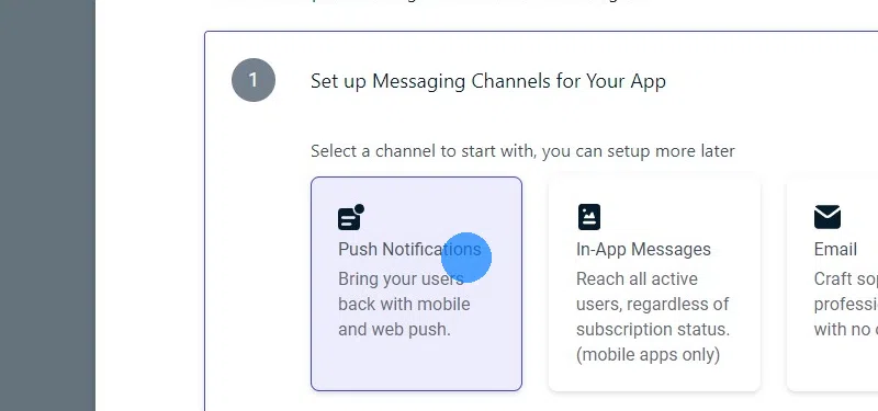 Se stai seguendo la guida rapida, seleziona "Push Notifications" (Notifiche Push).